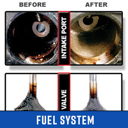 Fuel System Cleaning Service